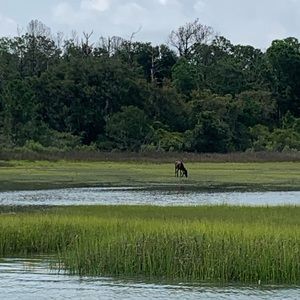 Meet your Posher, Ben